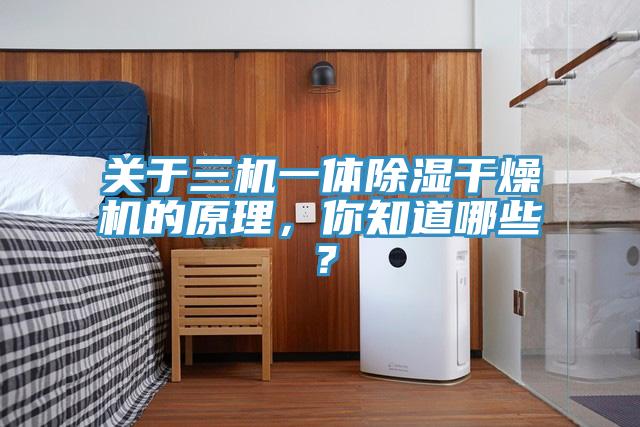 關(guān)于三機(jī)一體除濕干燥機(jī)的原理，你知道哪些？