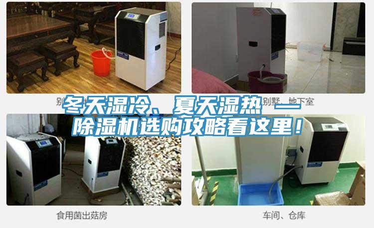 冬天濕冷、夏天濕熱 — 除濕機選購攻略看這里！