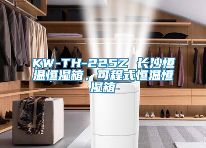 KW-TH-225Z 長(zhǎng)沙恒溫恒濕箱，可程式恒溫恒濕箱