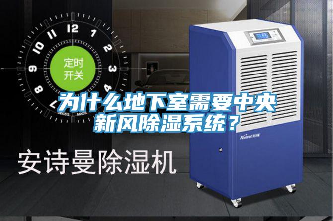 為什么地下室需要中央新風(fēng)除濕系統(tǒng)？