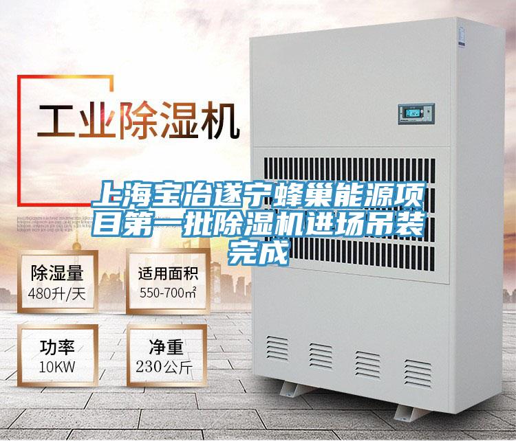 上海寶冶遂寧蜂巢能源項目第一批除濕機進(jìn)場吊裝完成