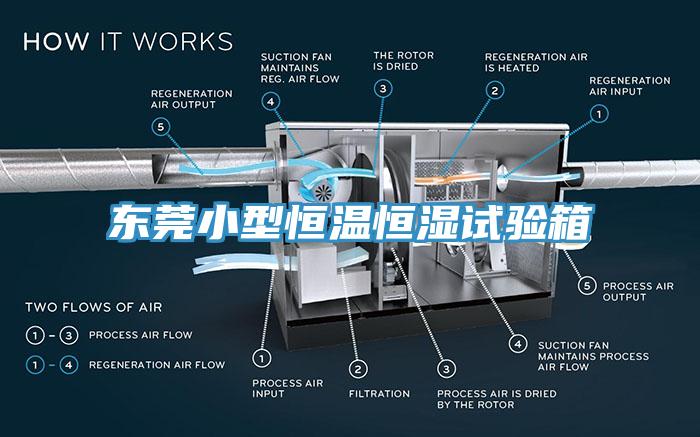 東莞小型恒溫恒濕試驗(yàn)箱