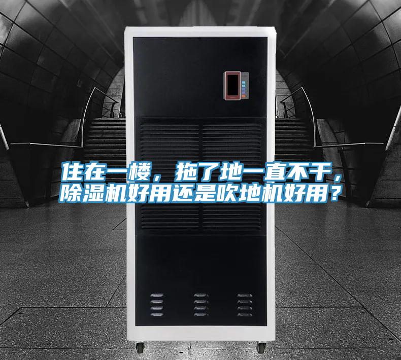 住在一樓，拖了地一直不干，除濕機(jī)好用還是吹地機(jī)好用？