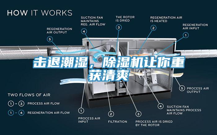 擊退潮濕，除濕機讓你重獲清爽