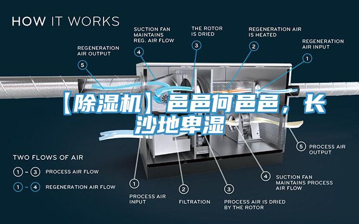 【除濕機(jī)】邑邑何邑邑，長(zhǎng)沙地卑濕