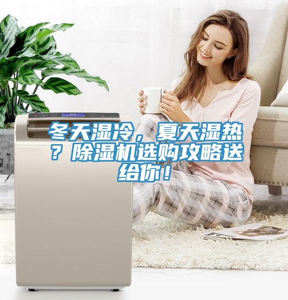 冬天濕冷，夏天濕熱？除濕機選購攻略送給你！