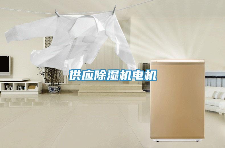 供應(yīng)除濕機(jī)電機(jī)