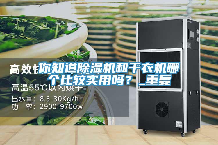 你知道除濕機(jī)和干衣機(jī)哪個比較實(shí)用嗎？_重復(fù)
