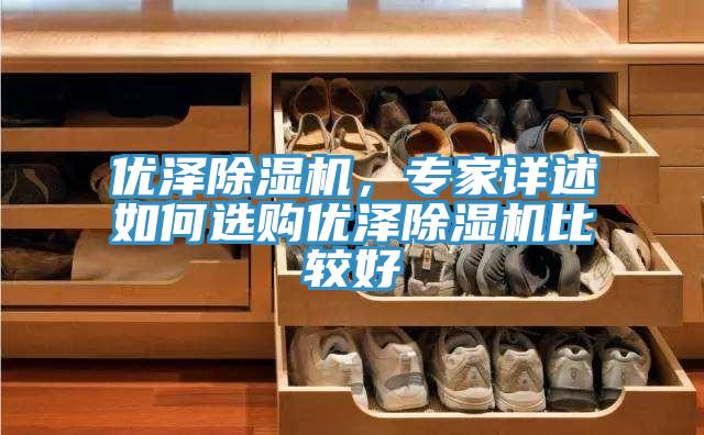 優(yōu)澤除濕機(jī)，專家詳述如何選購(gòu)優(yōu)澤除濕機(jī)比較好