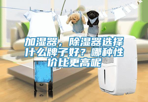 加濕器，除濕器選擇什么牌子好？哪種性價比更高呢