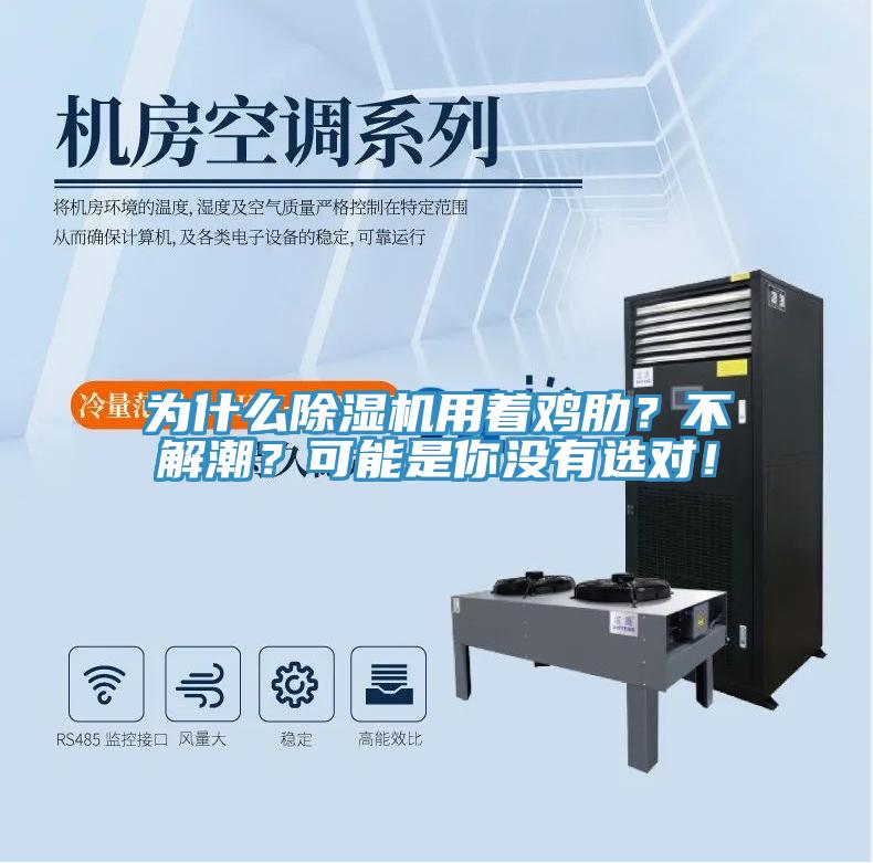 為什么除濕機(jī)用著雞肋？不解潮？可能是你沒有選對！
