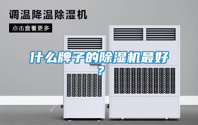 什么牌子的除濕機(jī)最好？