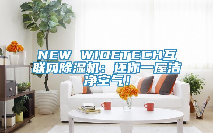 NEW WIDETECH互聯(lián)網(wǎng)除濕機(jī)：還你一屋潔凈空氣！