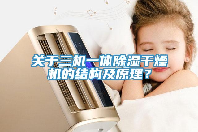 關(guān)于三機(jī)一體除濕干燥機(jī)的結(jié)構(gòu)及原理？