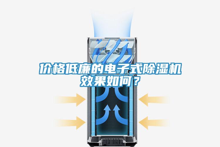 價(jià)格低廉的電子式除濕機(jī)效果如何？