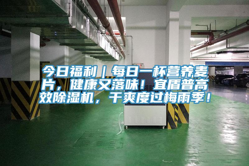 今日福利｜每日一杯營養(yǎng)麥片，健康又落味！宜盾普高效除濕機(jī)，干爽度過梅雨季！