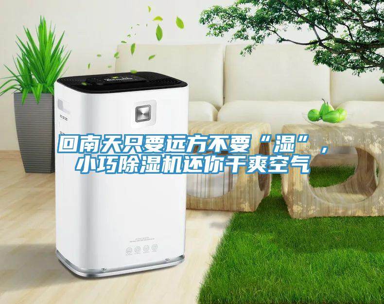 回南天只要遠(yuǎn)方不要“濕”，小巧除濕機(jī)還你干爽空氣