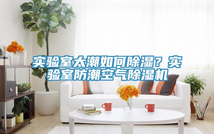 實驗室太潮如何除濕？實驗室防潮空氣除濕機