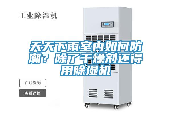 天天下雨室內(nèi)如何防潮？除了干燥劑還得用除濕機