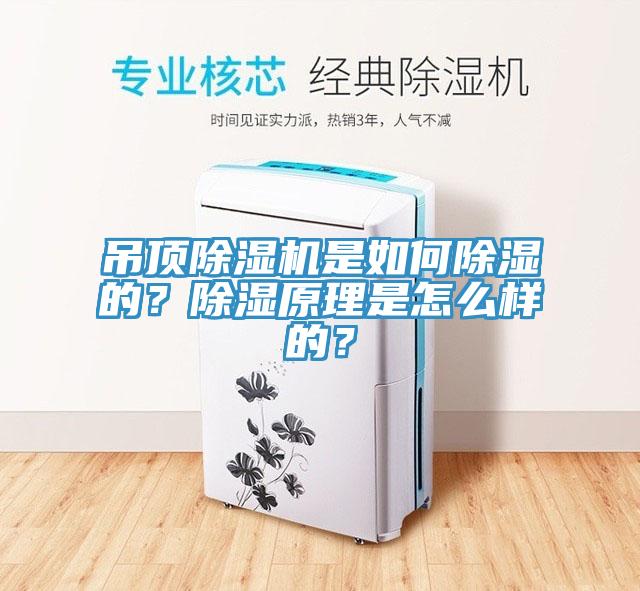 吊頂除濕機是如何除濕的？除濕原理是怎么樣的？