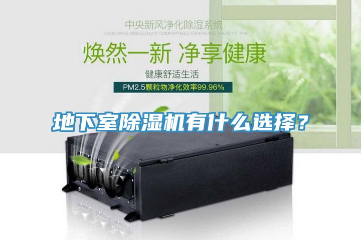 地下室除濕機(jī)有什么選擇？