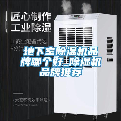 地下室除濕機(jī)品牌哪個好_除濕機(jī)品牌推薦