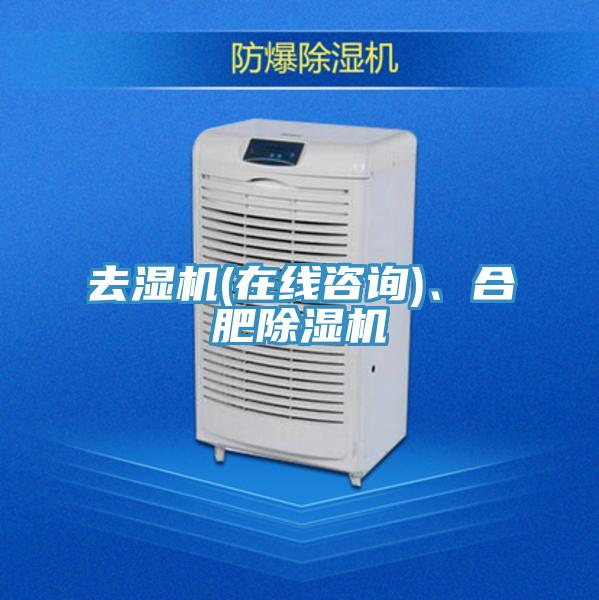 去濕機(jī)(在線咨詢)、合肥除濕機(jī)