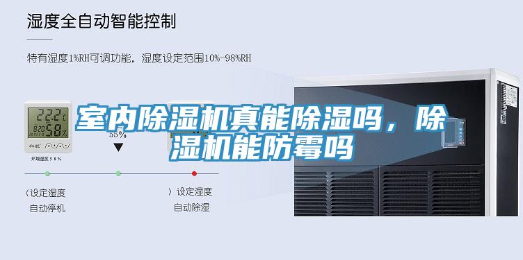 室內(nèi)除濕機真能除濕嗎，除濕機能防霉嗎