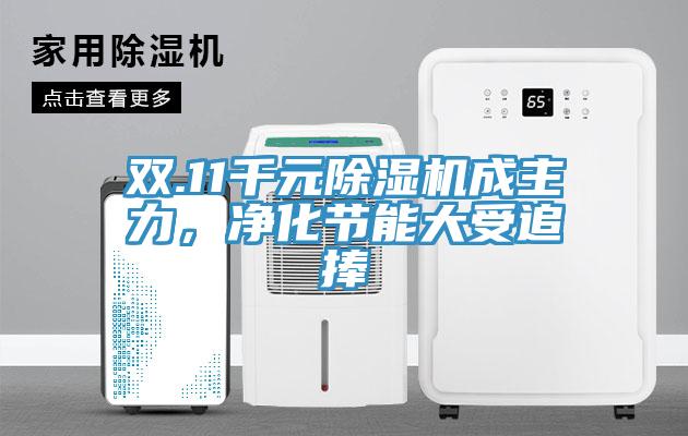 雙.11千元除濕機成主力，凈化節(jié)能大受追捧