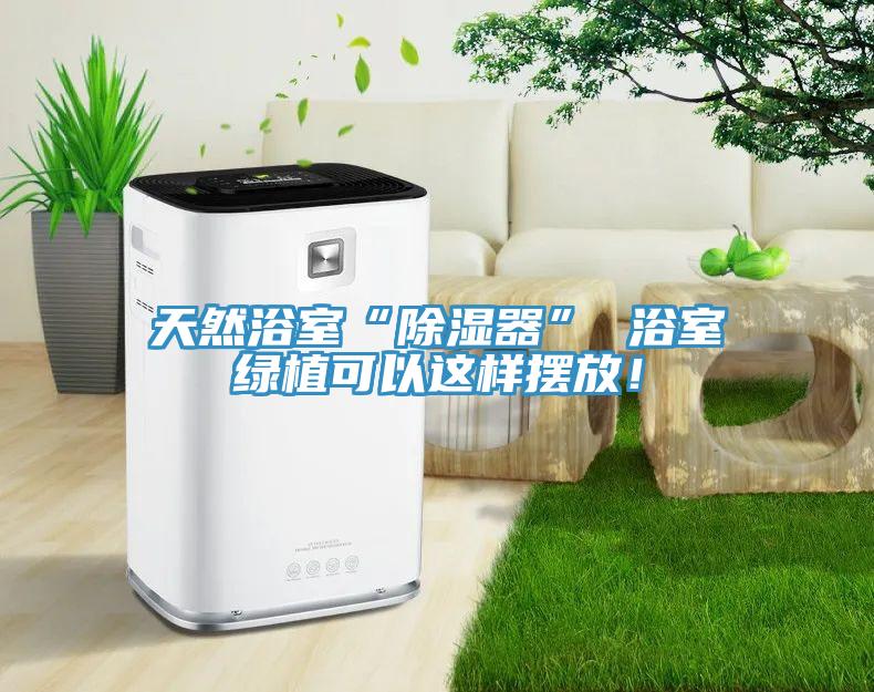 天然浴室“除濕器” 浴室綠植可以這樣擺放！