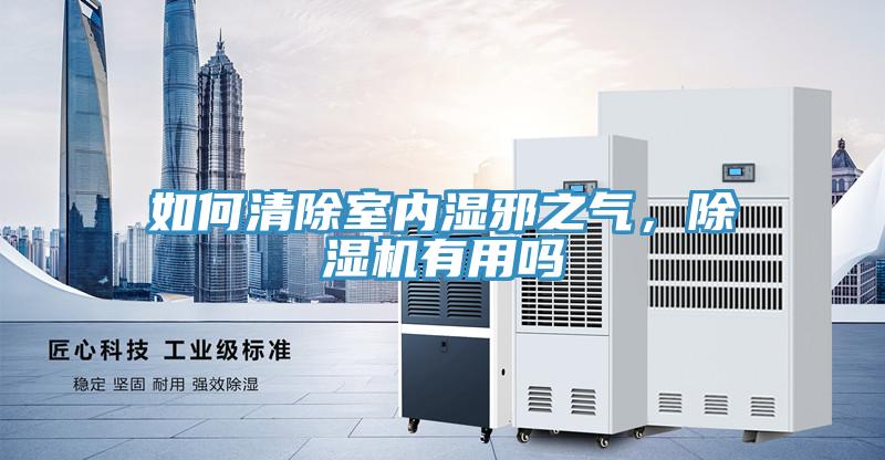如何清除室內(nèi)濕邪之氣，除濕機有用嗎