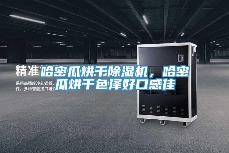哈密瓜烘干除濕機，哈密瓜烘干色澤好口感佳