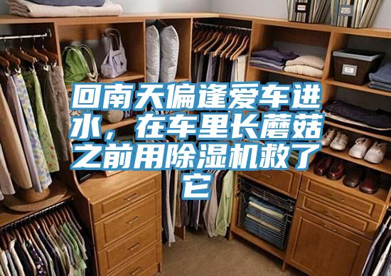 回南天偏逢愛(ài)車進(jìn)水，在車?yán)镩L(zhǎng)蘑菇之前用除濕機(jī)救了它