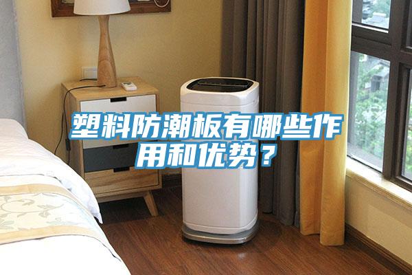 塑料防潮板有哪些作用和優(yōu)勢(shì)？