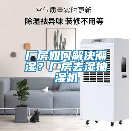 廠房如何解決潮濕？廠房去濕抽濕機