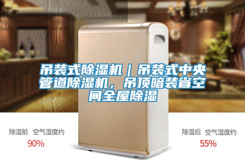 吊裝式除濕機(jī)｜吊裝式中央管道除濕機(jī)，吊頂暗裝省空間全屋除濕