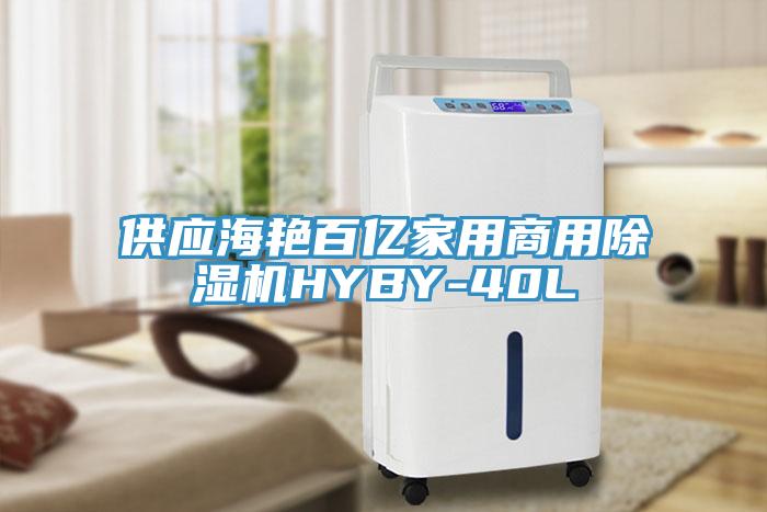 供應(yīng)海艷百億家用商用除濕機(jī)HYBY-40L