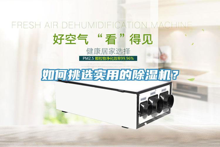 如何挑選實用的除濕機？