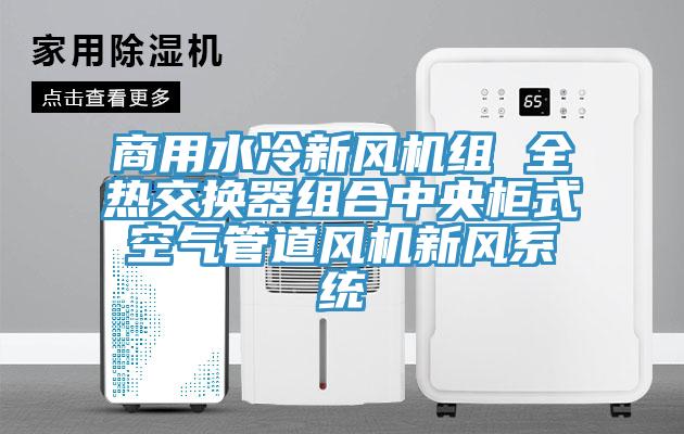 商用水冷新風機組 全熱交換器組合中央柜式空氣管道風機新風系統(tǒng)