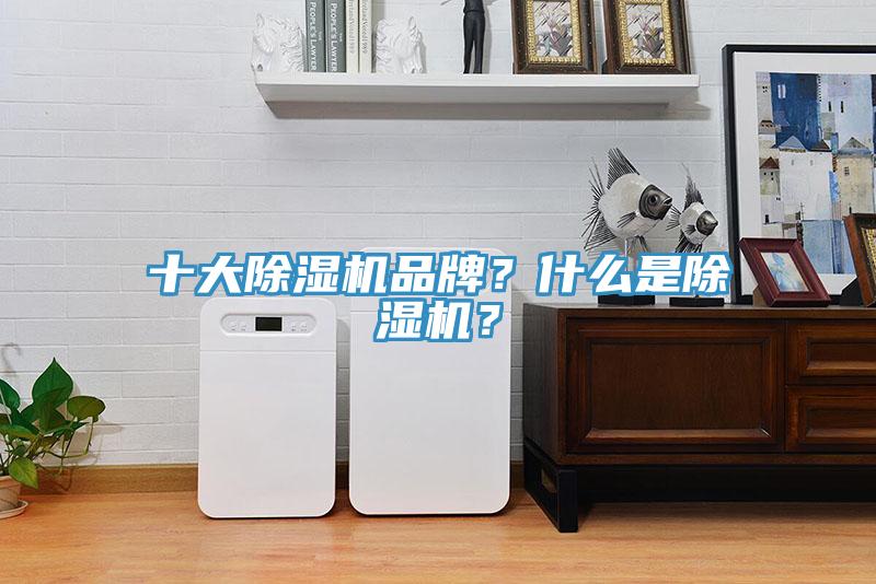 十大除濕機(jī)品牌？什么是除濕機(jī)？