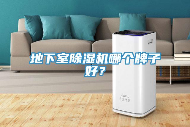 地下室除濕機(jī)哪個牌子好？
