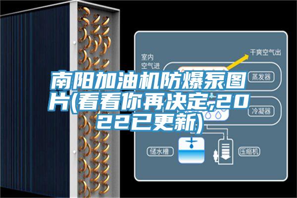 南陽加油機(jī)防爆泵圖片(看看你再決定,2022已更新)