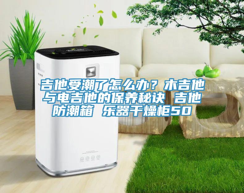 吉他受潮了怎么辦？木吉他與電吉他的保養(yǎng)秘訣 吉他防潮箱 樂(lè)器干燥柜50