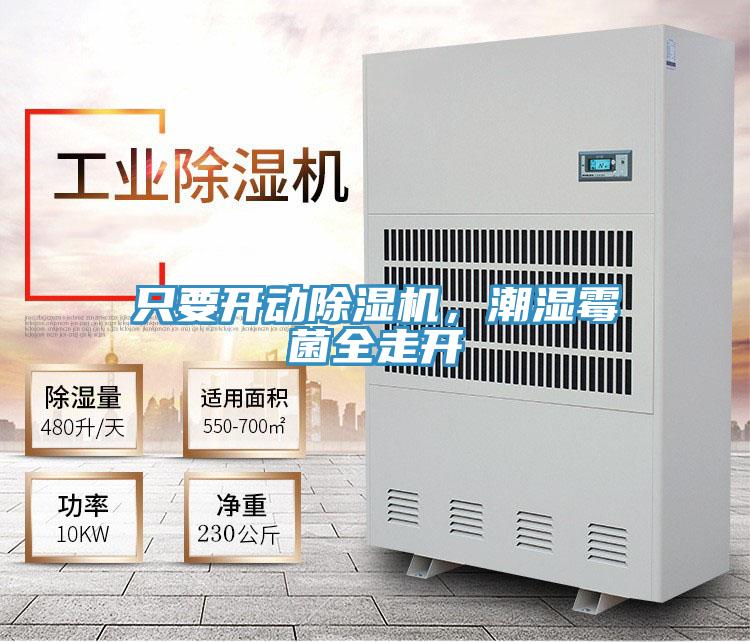 只要開動除濕機，潮濕霉菌全走開