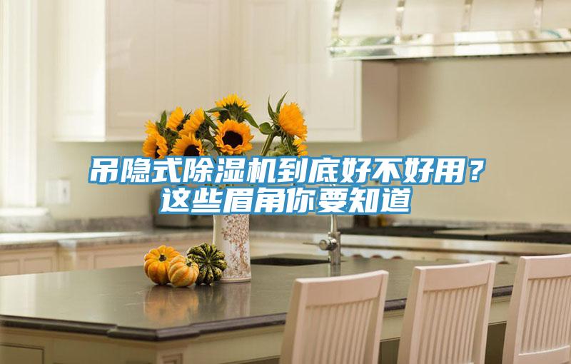 吊隱式除濕機(jī)到底好不好用？這些眉角你要知道