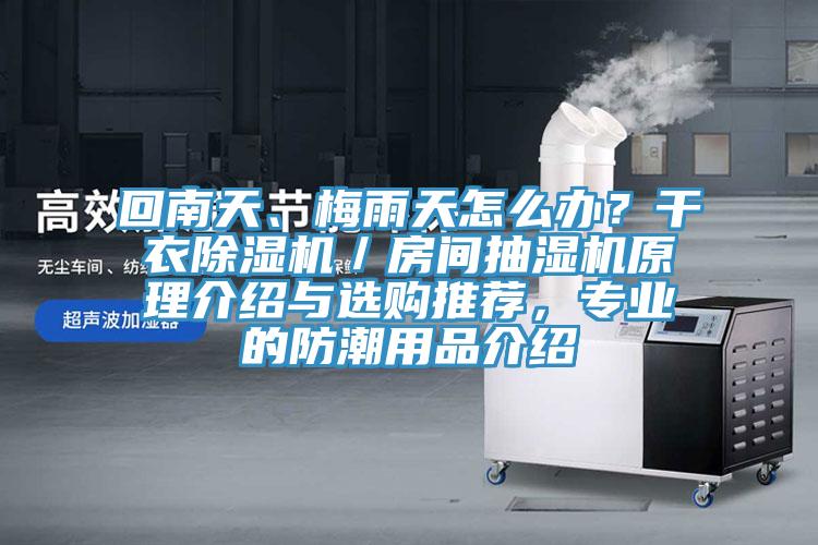回南天、梅雨天怎么辦？干衣除濕機(jī)／房間抽濕機(jī)原理介紹與選購(gòu)?fù)扑]，專業(yè)的防潮用品介紹