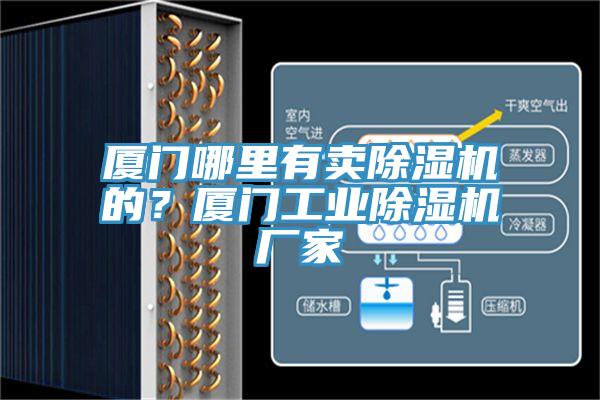 廈門哪里有賣除濕機的？廈門工業(yè)除濕機廠家