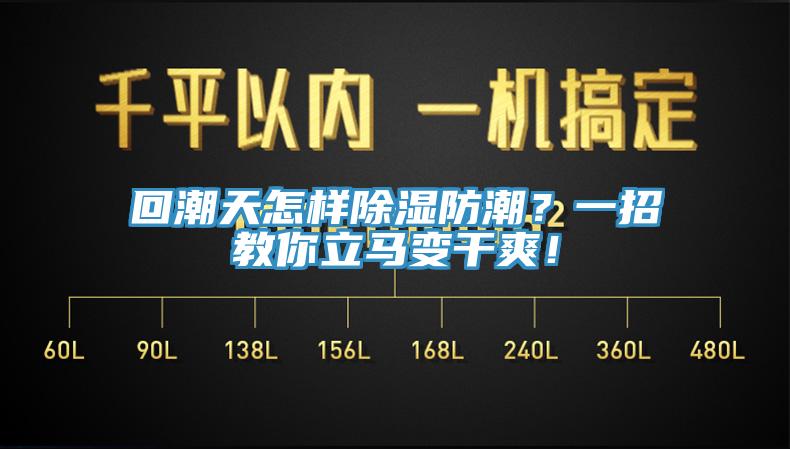 回潮天怎樣除濕防潮？一招教你立馬變干爽！