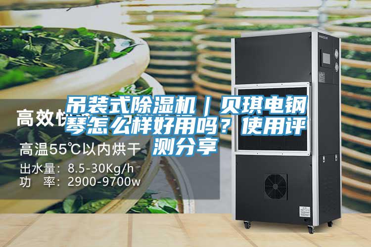 吊裝式除濕機(jī)｜貝琪電鋼琴怎么樣好用嗎？使用評(píng)測(cè)分享
