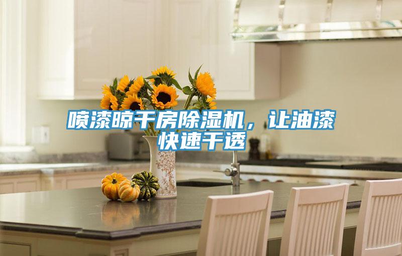 噴漆晾干房除濕機(jī)，讓油漆快速干透